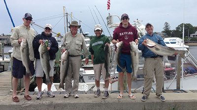 Catch of the Day
