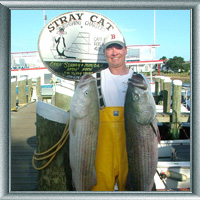 Catching the Big Ones!