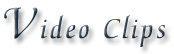Video Clips